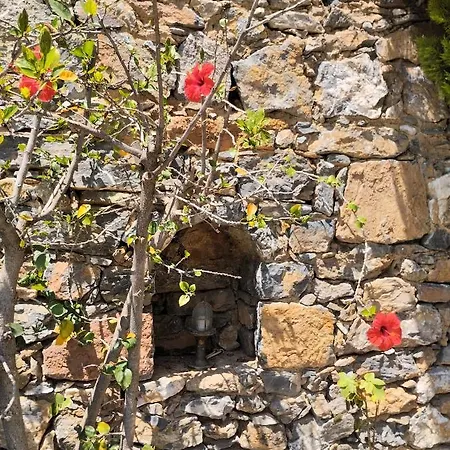 Fotmar Plakias Apartment Exterior photo
